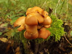 DSCF6289.JPG