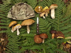 DSCF6292.JPG