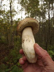 DSCF6294.JPG