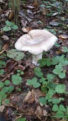 DSC_0315_075307.JPG