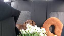 IMG-20250920-WA0008.thumb.jpeg.6c2a0c2ff7342b6f2831bee470373900.jpeg