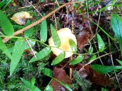 IMG-20250927-WA0009.jpg