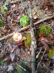 IMG-20250927-WA0011.jpg