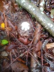 IMG-20250927-WA0012.jpg