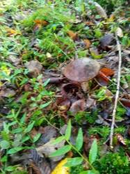 IMG-20250927-WA0018.jpg