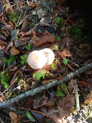 IMG-20250927-WA0019.jpg