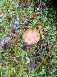 IMG-20250927-WA0022.jpg