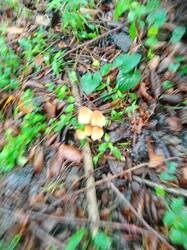 IMG-20250927-WA0026.jpg