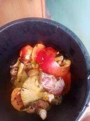 IMG-20251011-WA0001.jpg