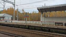IMG-20251011-WA0008.jpeg