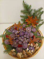 IMG-20251019-WA0024.thumb.jpg.2574f7839a6a6fbff73d81a341e6bc86.jpg