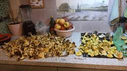 IMG-20251025-WA0017.jpeg