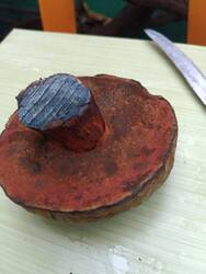 IMG-20251027-WA0041.jpg