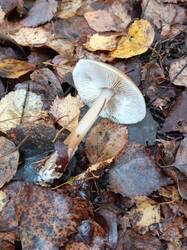 IMG20251020100344.jpg