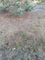 IMG_20231107_162310.jpg