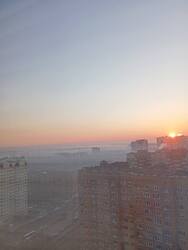 IMG_20250329_062248.jpg