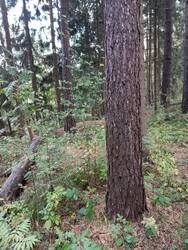 IMG_20250928_171251.jpg
