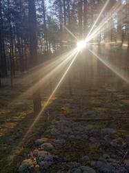 IMG_20251001_070214_610.jpg