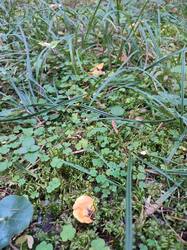 IMG_20251004_111424.jpg