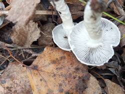 IMG_20251004_115638.jpg
