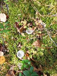IMG_20251004_133913.jpg