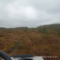 IMG_20251008_124714.jpg