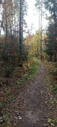IMG_20251011_110518.jpg
