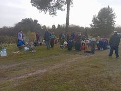 IMG_20251011_114533.thumb.jpg.c1ef22f45a28764dd3df01b24dc0d635.jpg
