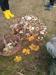 IMG_20251011_115855.jpg