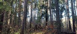 IMG_20251011_125043.jpg