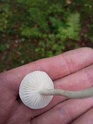 IMG_20251011_162222.jpg