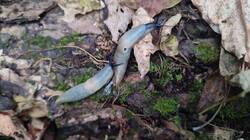 IMG_20251011_164934.jpg