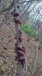 IMG_20251011_172300.jpg