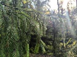 IMG_20251011_211700.jpg
