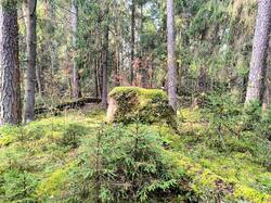 IMG_20251011_211824.jpg