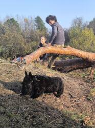 IMG_20251011_234957.jpg