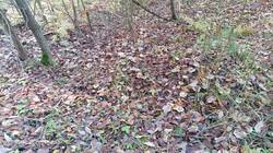 IMG_20251012_141954_353.jpg