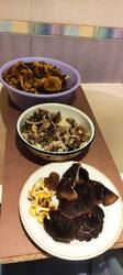 IMG_20251012_210655.thumb.jpg.0b0789546e23d765572dd82a897aa2a1.jpg