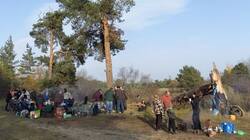 IMG_20251013_095445_710.jpg
