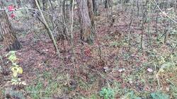 IMG_20251018_094352_380.jpg
