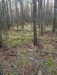IMG_20251018_115145.jpg