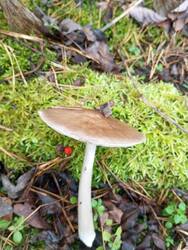 IMG_20251018_120254.jpg