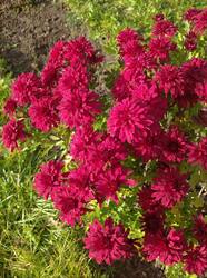 IMG_20251018_141129_1.jpg