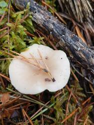 IMG_20251019_105346.jpg
