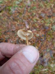 IMG_20251019_105500.jpg