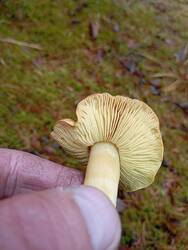IMG_20251019_105914.jpg