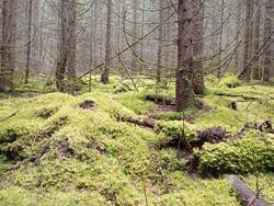 IMG_20251019_110311.jpg