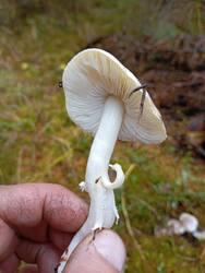 IMG_20251019_114828.jpg