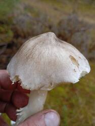 IMG_20251019_114959.jpg