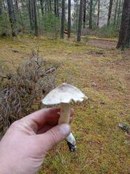 IMG_20251019_115003.jpg